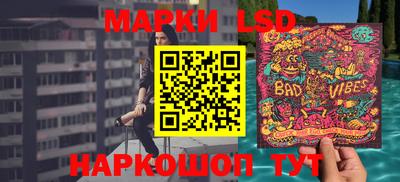 дживик Моздок