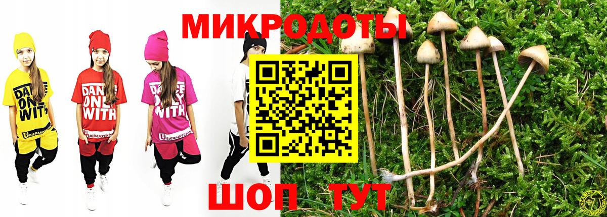 Усть-Илимск  Псилоцибиновые грибы Psilocybine cubensis  Вход с VPN 